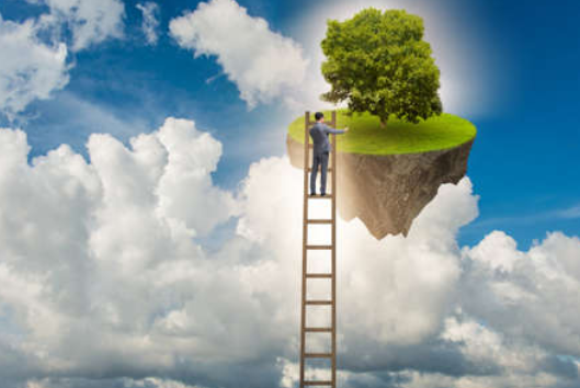 The Biology of Becoming, Part III: The Nervous System of Abundance